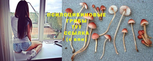2c-b Лихославль