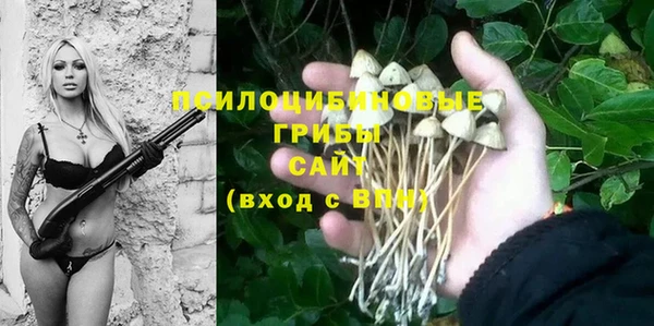 2c-b Лихославль